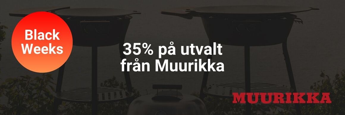 Muurikka