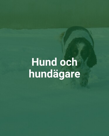 Hund och hundägare