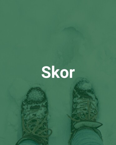 Skor