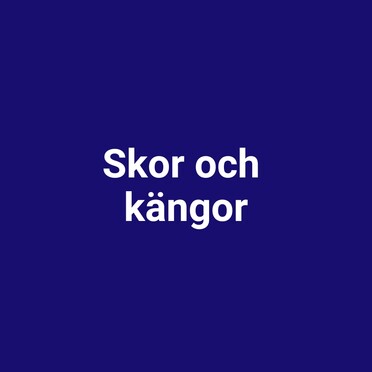 Skor och kängor