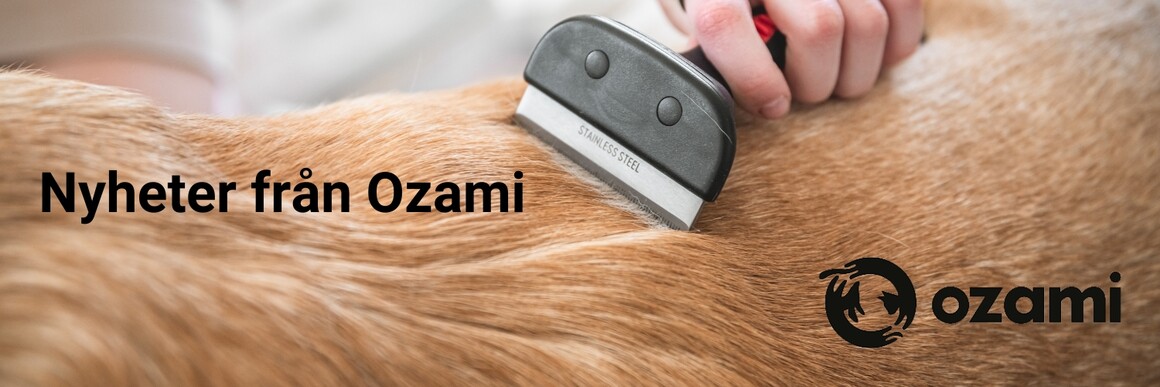 Nyheter från Ozami