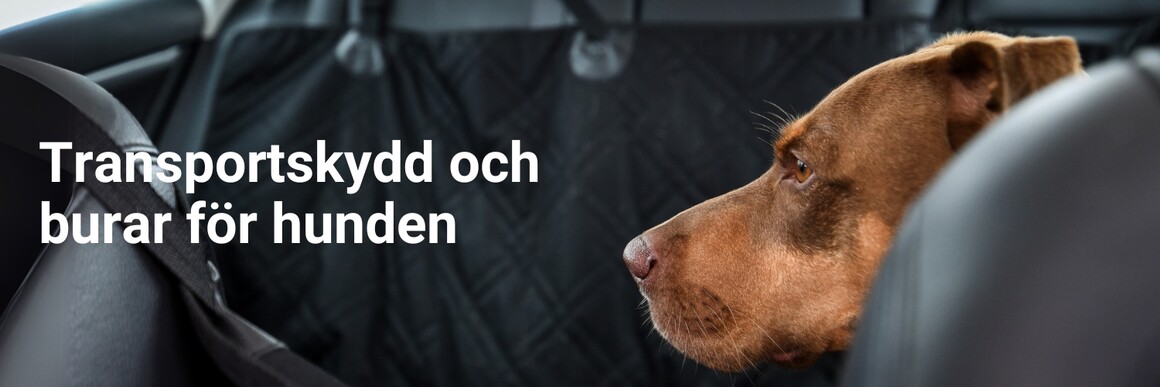 Transportskydd och burar för hunden