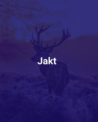 Jakt