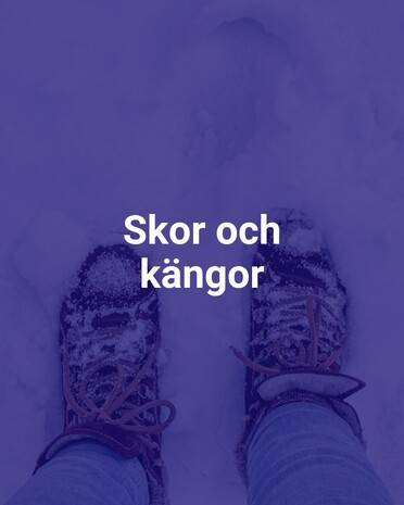 Skor och kängor