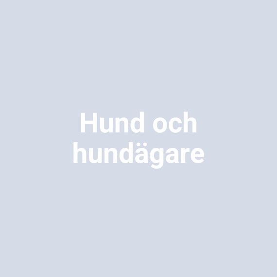 Hund och hundägare