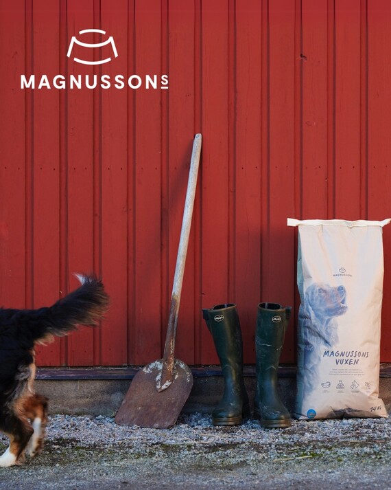 Magnussons