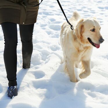 Promenera