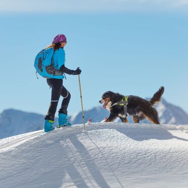 Aktiv vinter med hund