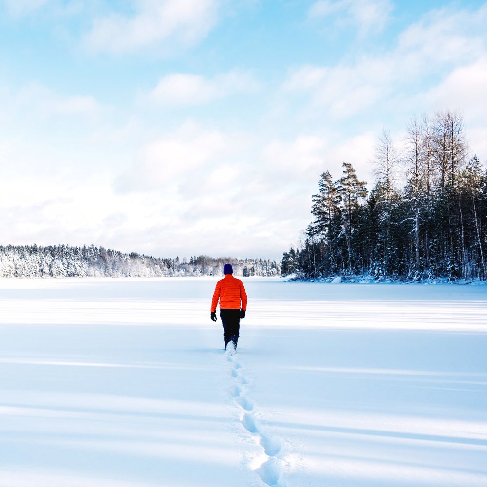 Utforska naturen hemma