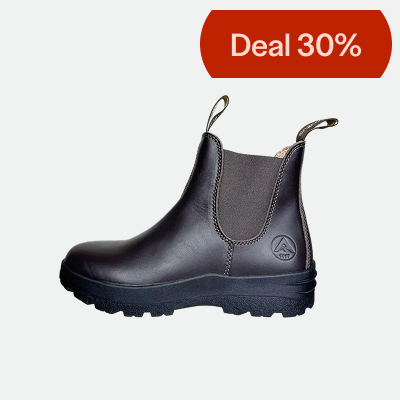 Avignon Darwin Jodhpurs läder Dark Brown