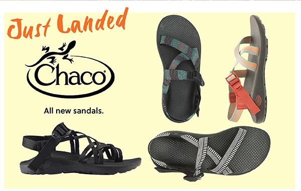 JUST LANDED CHACO. ALL NEW SANDALS. SHOP NOW!