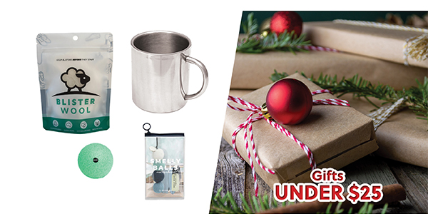 GIFTS UNDER $25 GIFT GUIDE - SHOP NOW