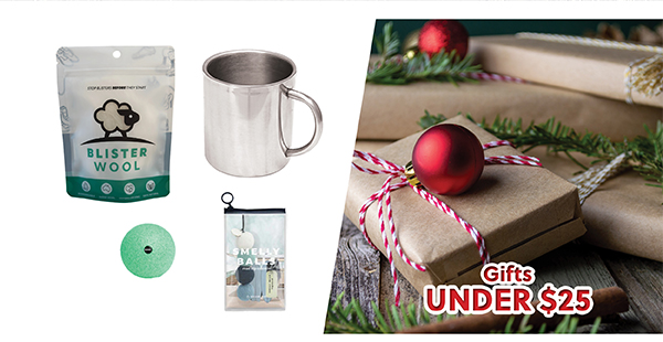 GIFTS UNDER $25 GIFT GUIDE - SHOP NOW