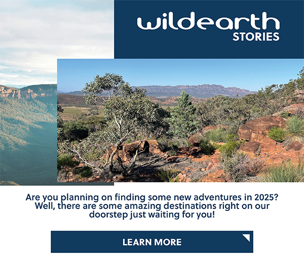 WILD EARTH STORIES - NEW ADVENTURES IN 2025? LEARN MORE