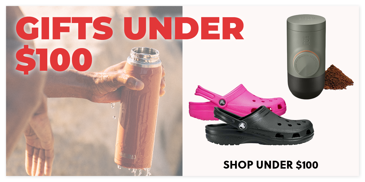 GIFTS UNDER $100 AT WILDEARTH, SHOP NOW