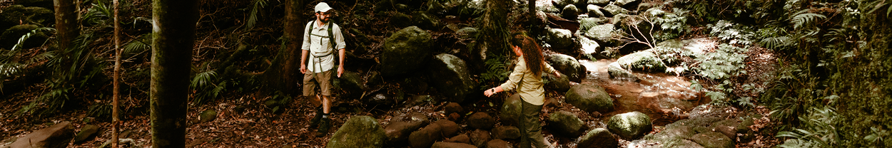 shop camp & hike up to 50% off