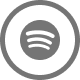 Spotify icon