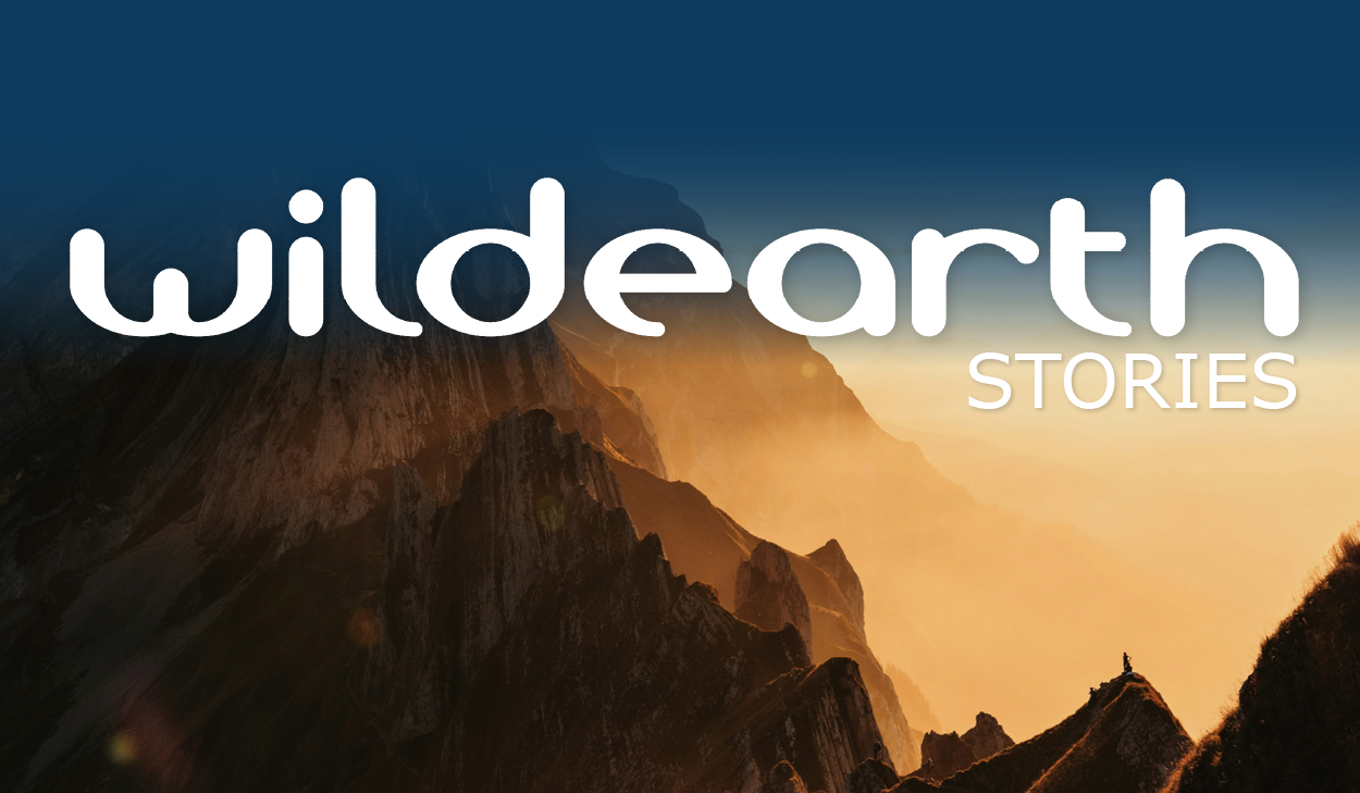 Wild Earth Adventure Blogs