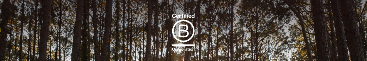 Wild Eart Australia Bcorp