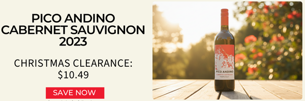 Pico Andino Cabernet Sauvignon 2023