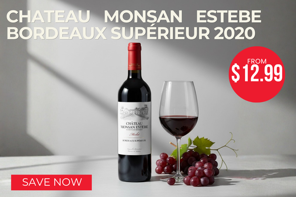 Chateau Monsan Estebe Bordeaux Supérieur 2020