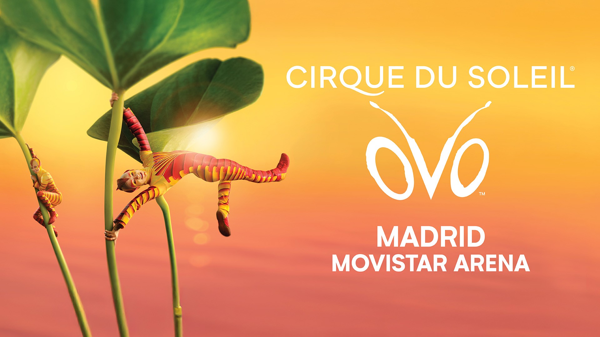 OVO: magia y acrobacias con El Circo del Sol