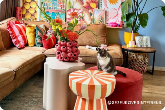 Ontdek het met Xenos