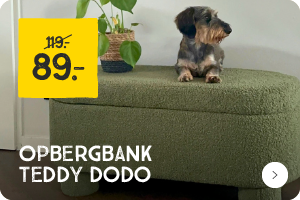 Opbergbank teddy dodo