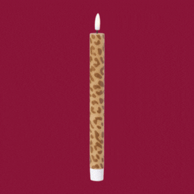 Alle (led) dinerkaarsen