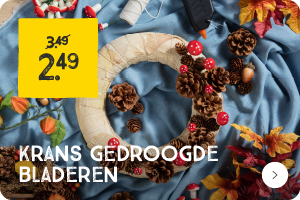 Gedroogde krans