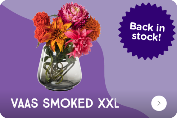 Vaas smoked XXL