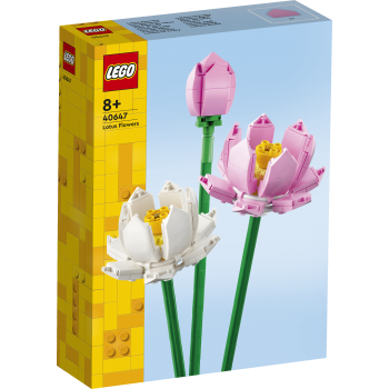LEGO Iconic Lootuskukat 40647