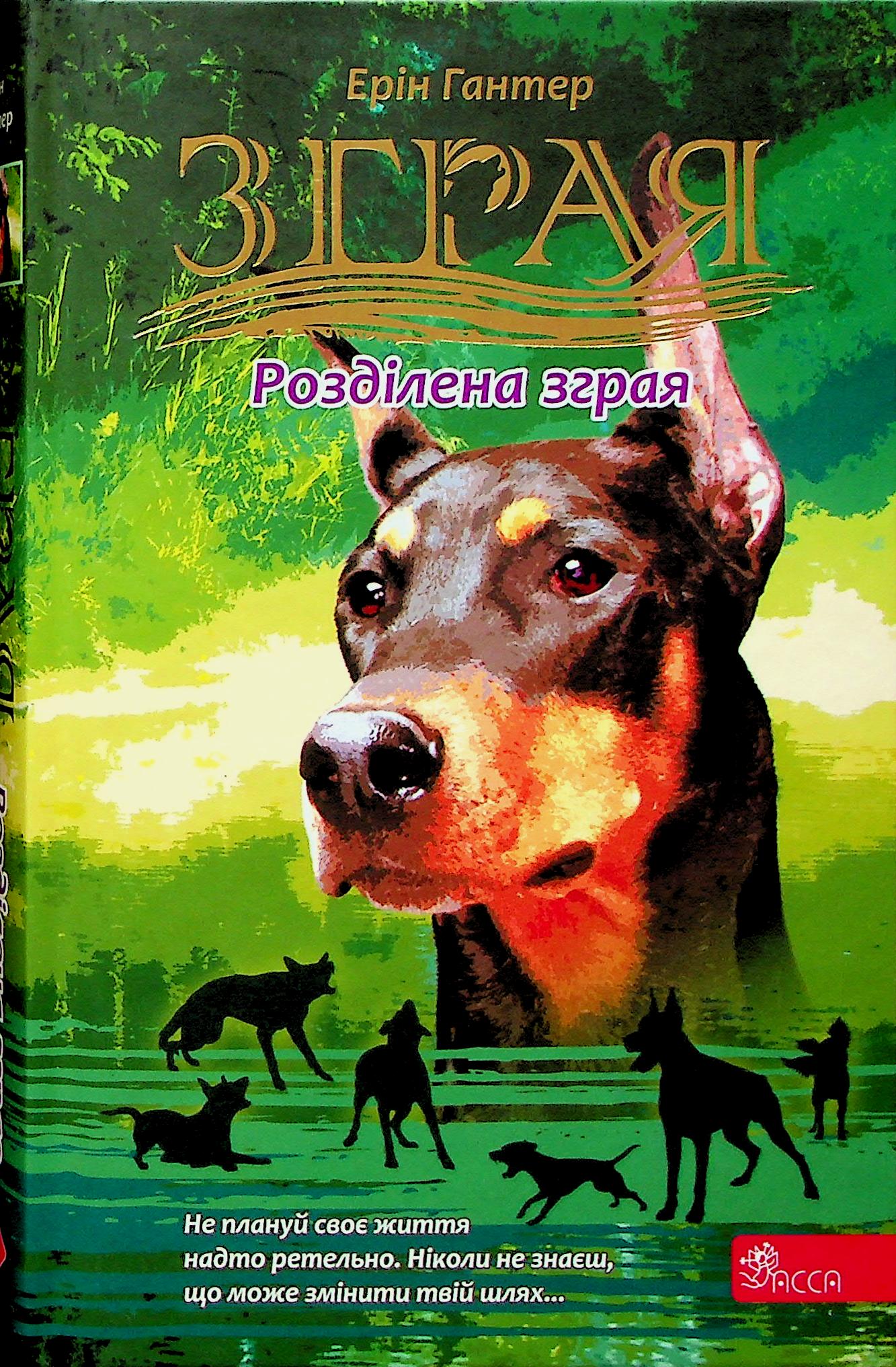 Зграя. Затемнення. К...