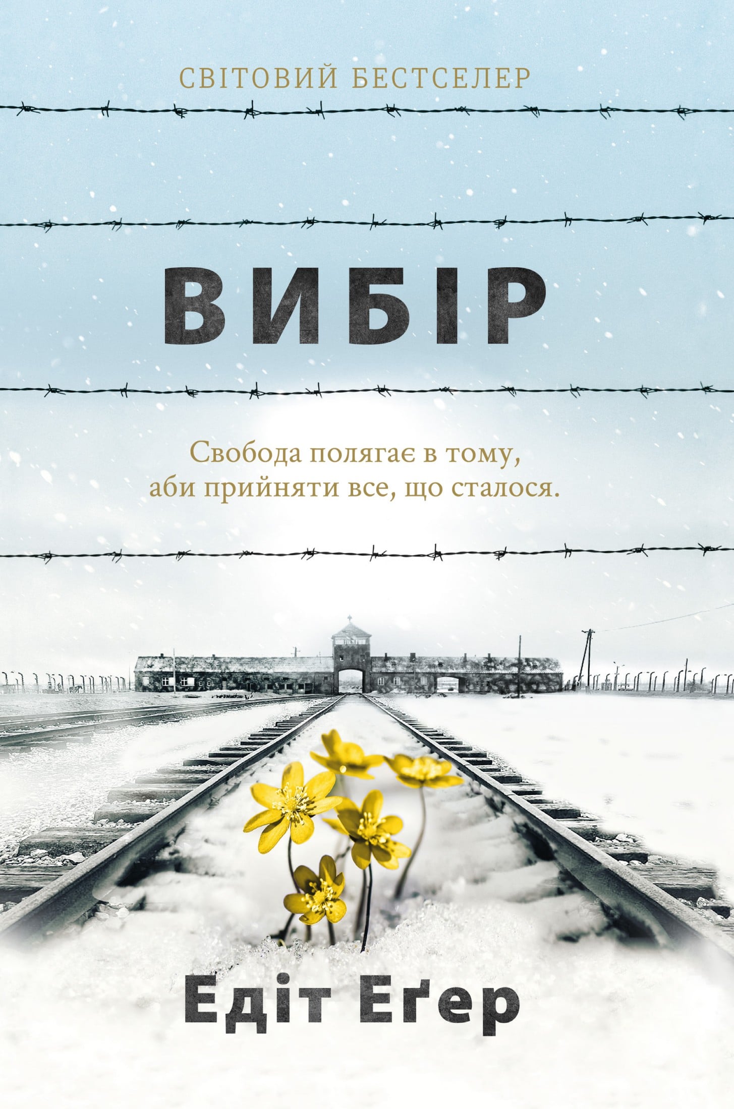 Електронна книга Вибір. Прийняти можливе