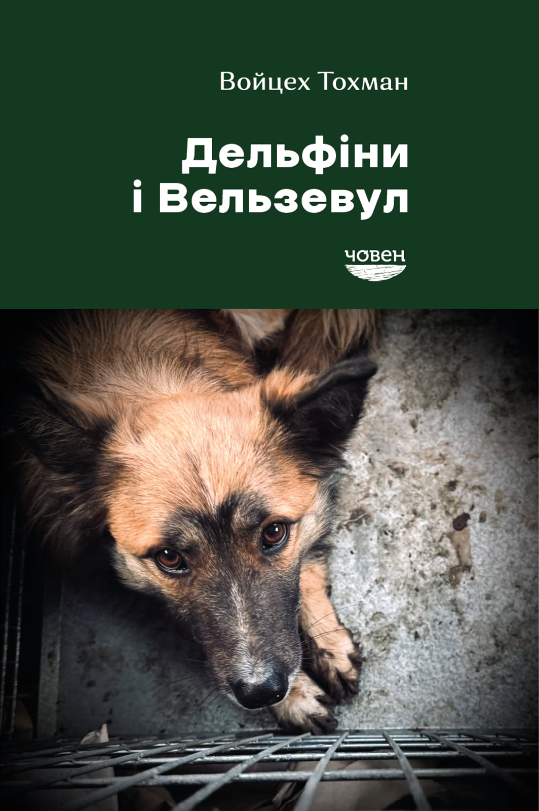 Дельфіни і Вельзевул...