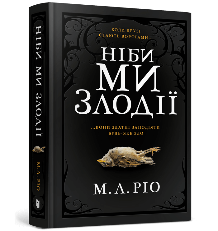 Книга Ніби ми злодії