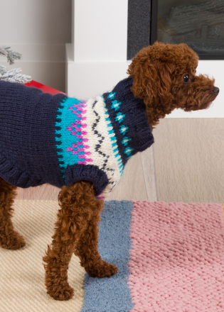 Family Knit Dog Sweater Pattern