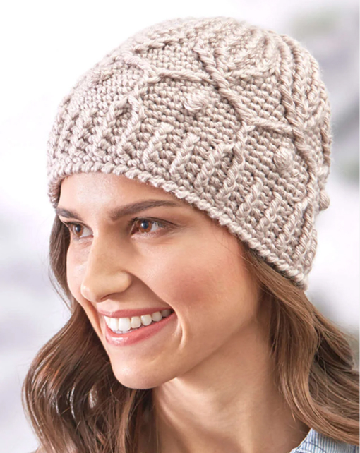 Free Crochet Winter Trellis Hat Pattern