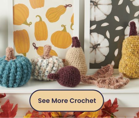 See More Crochet Patterns
