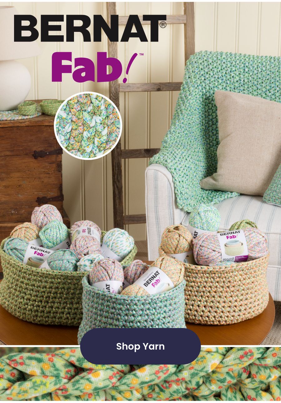 NEW Bernat Fab!