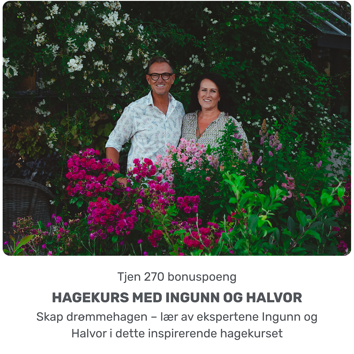 Portrettkurs i oljemaling