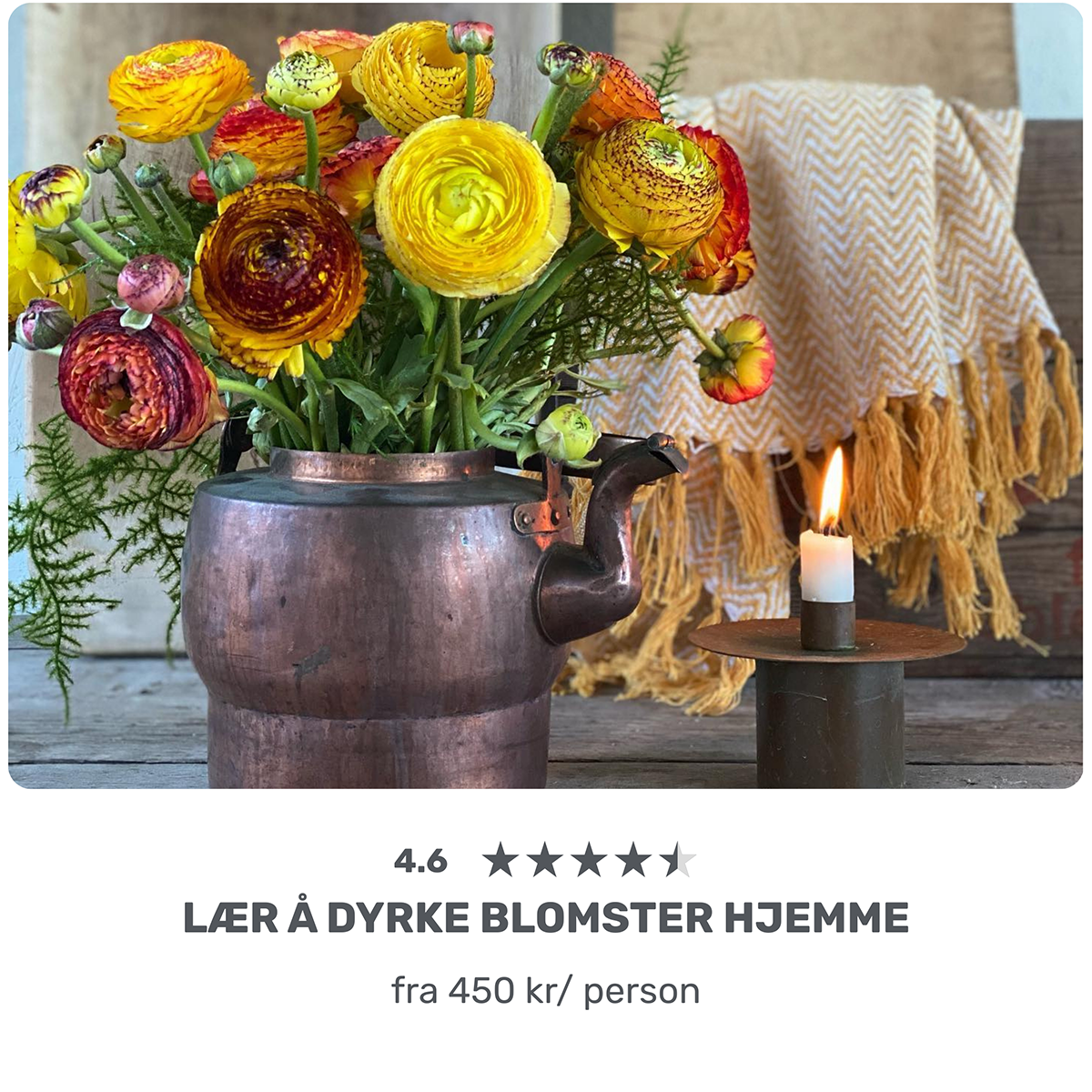Lær å dyrke blomster hjemme