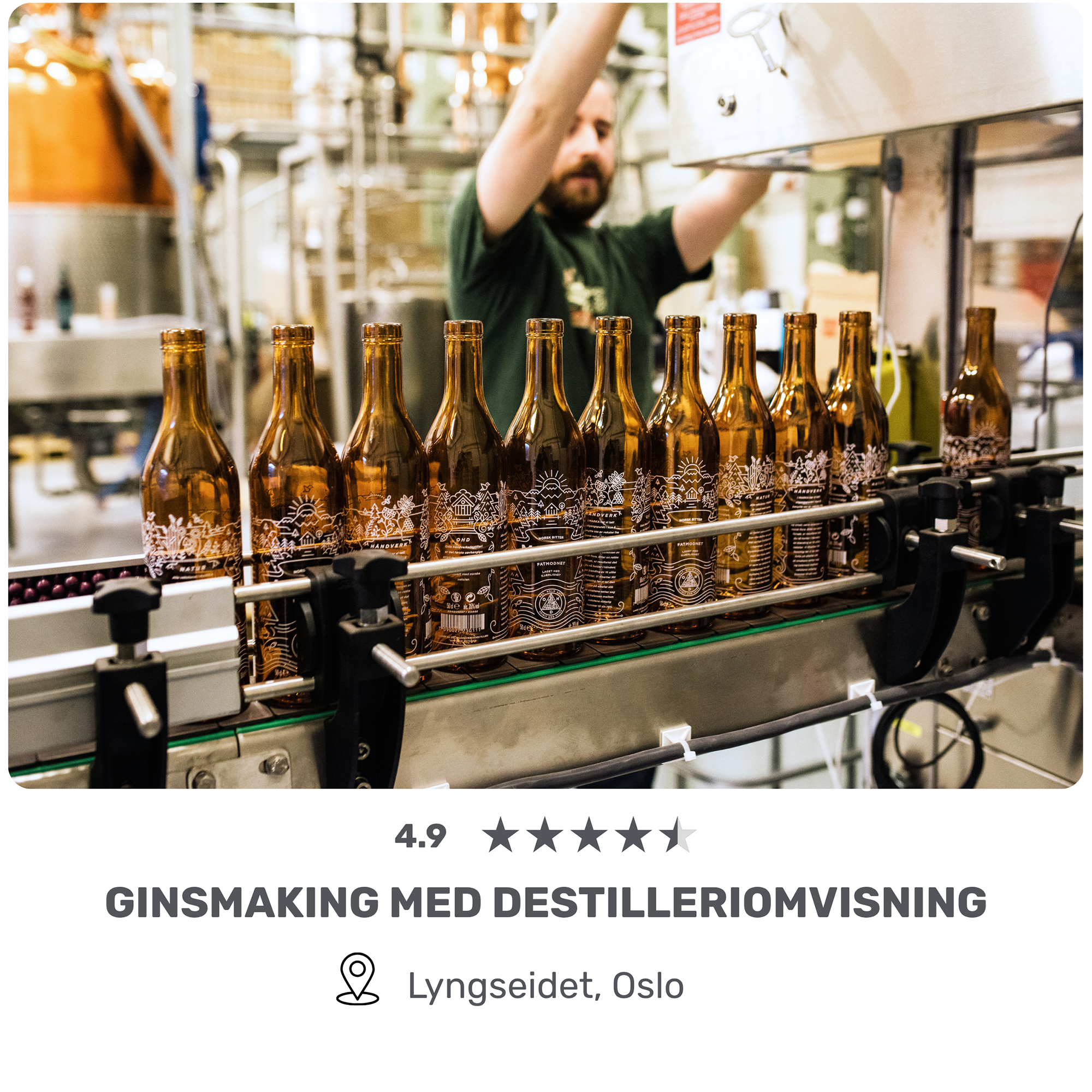 Ginsmaking med destilleriomvisning