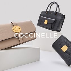 Coccinelle