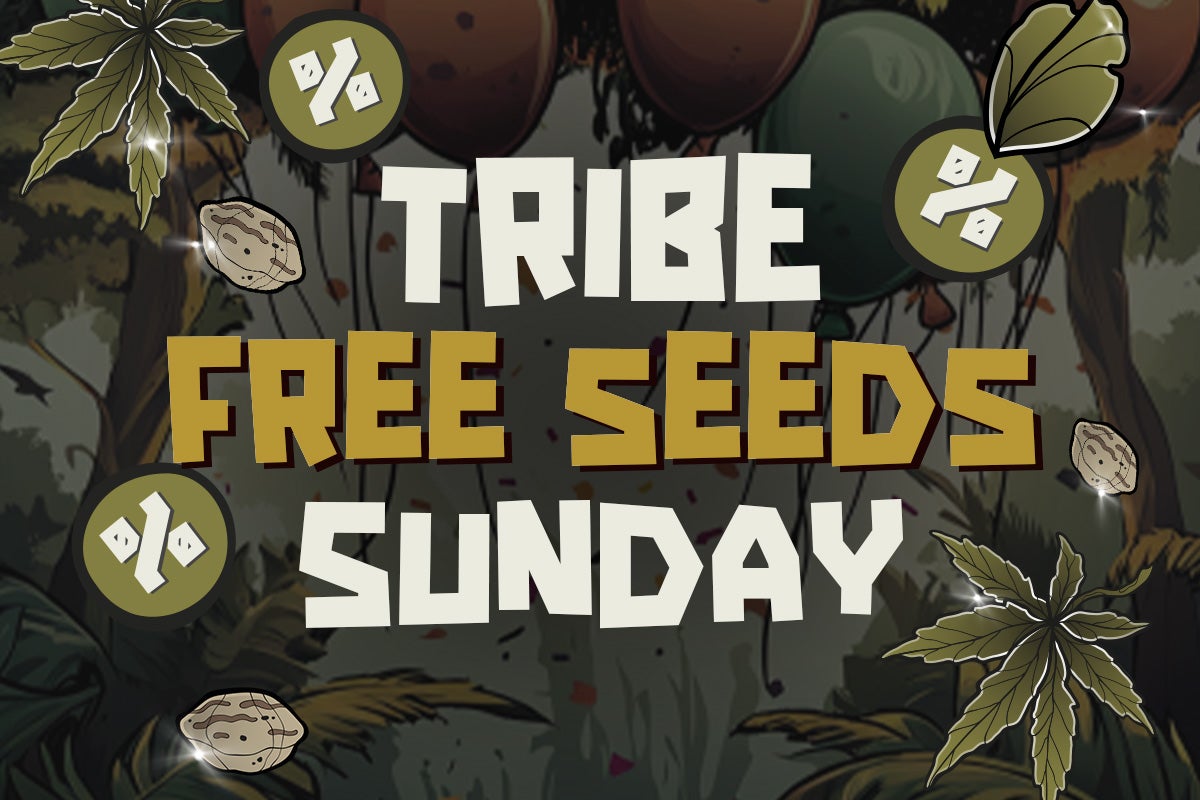Free Seeds Sunday