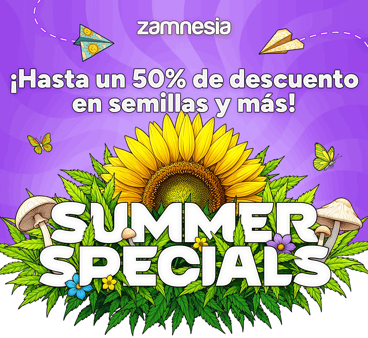 Summer Specials