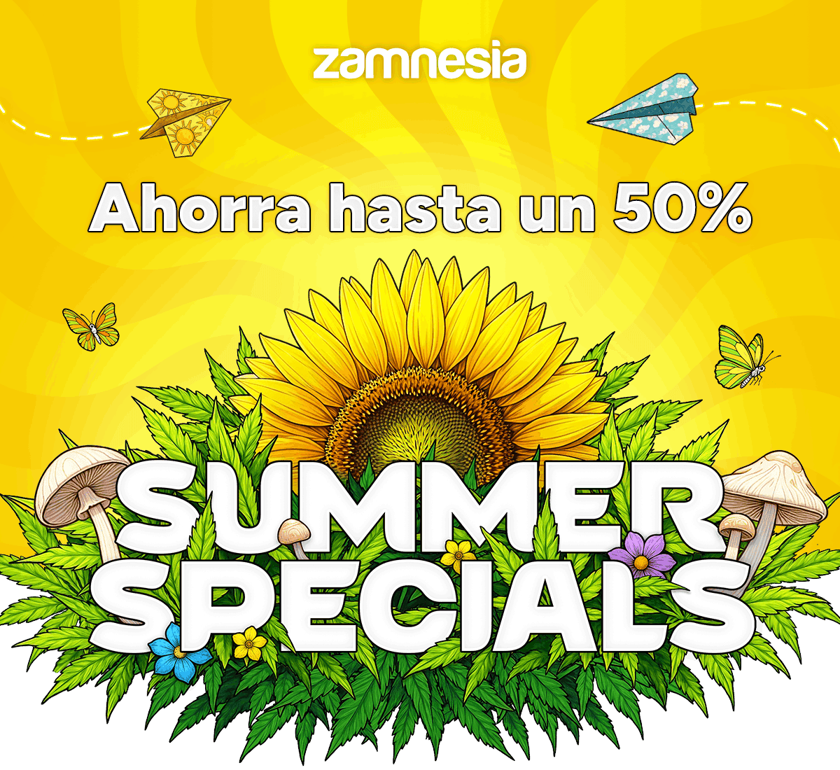 Summer Specials