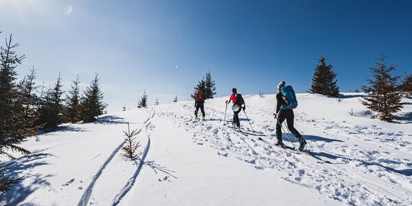 Kurzy pre skialpinistov: Skitouringový alebo skialpovo-lavínový kurz