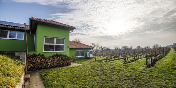 Za vínom na južnú Moravu: pobyt v penzióne aj s degustáciou