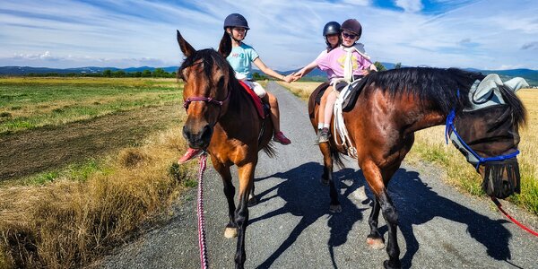 30 alebo 60 min. prechádzka na koni s inštruktorom pre 1 či 2 osoby
